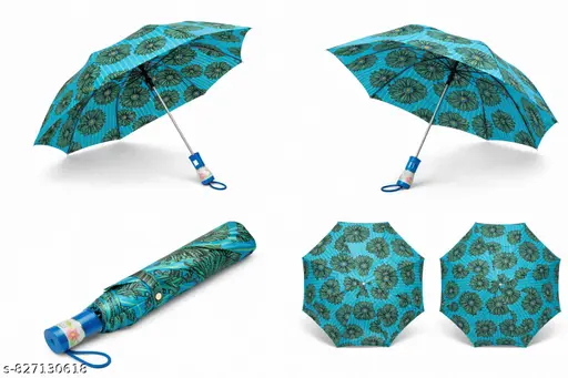 View 1